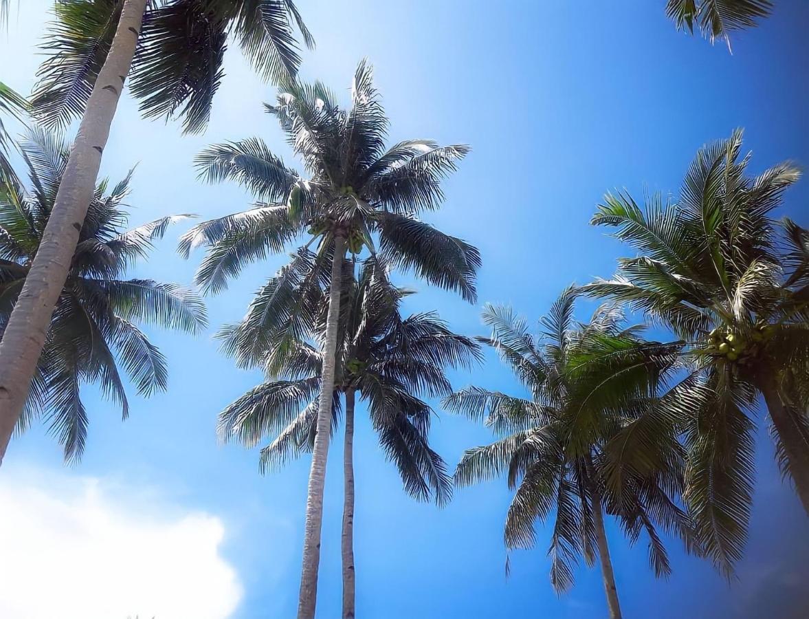 Siargao Sunflower Suites ゼネラル・ルナ エクステリア 写真