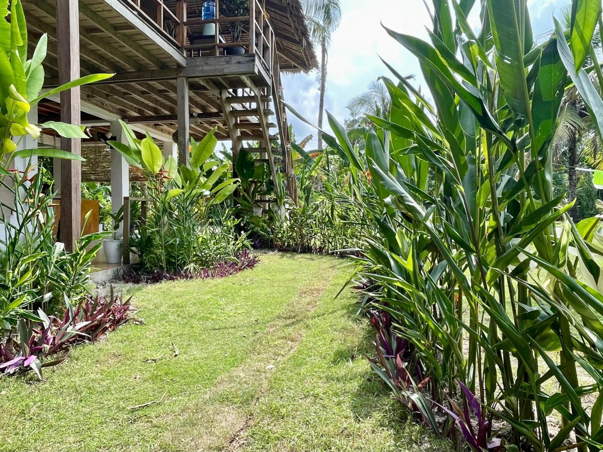 Siargao Sunflower Suites ゼネラル・ルナ エクステリア 写真
